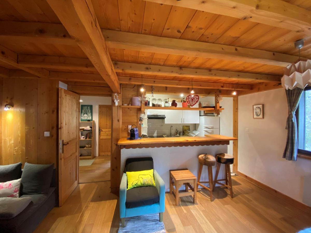 Appartement cosy au pied du MtBlanc Chamonix Buitenkant foto