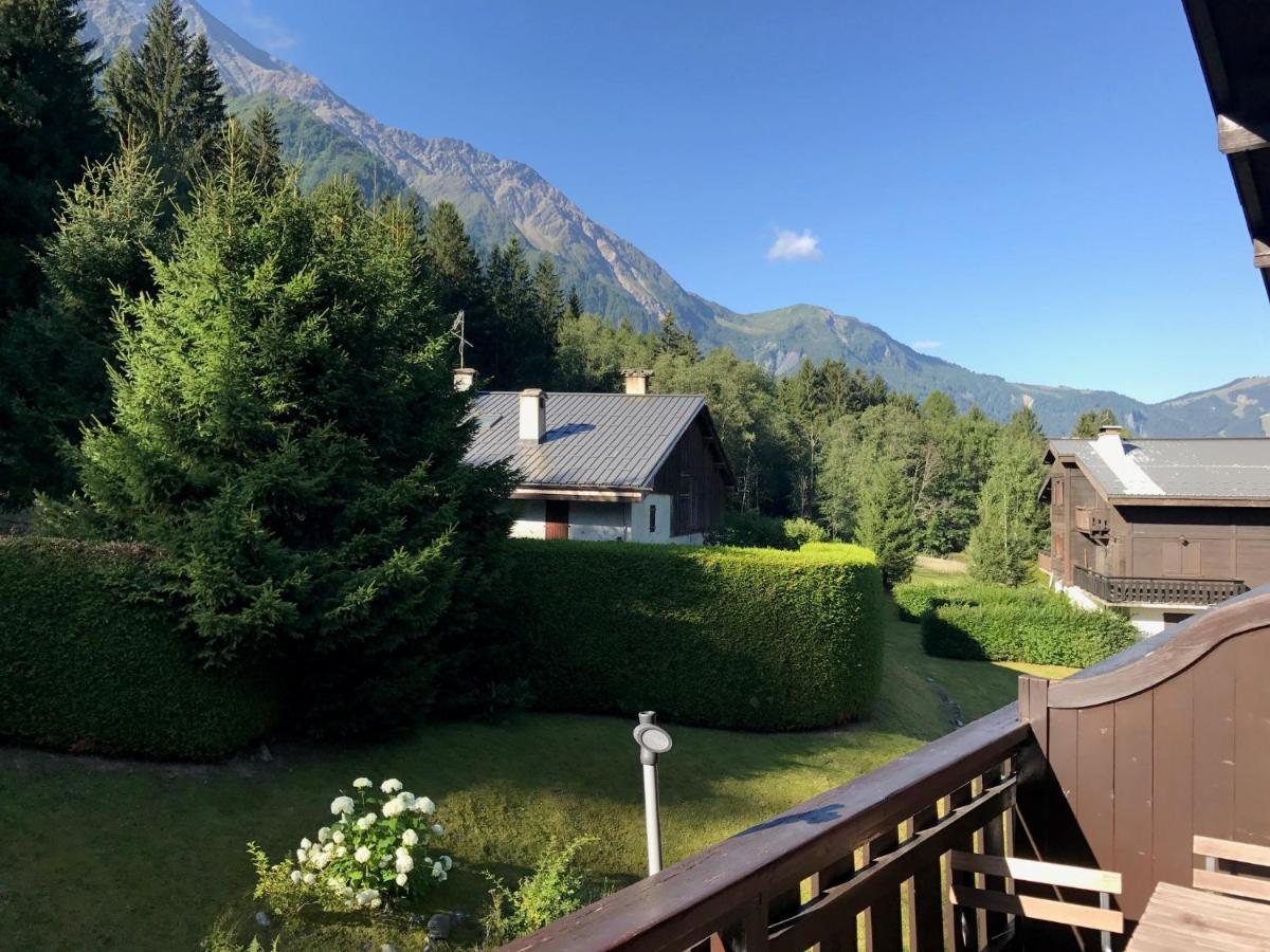 Appartement cosy au pied du MtBlanc Chamonix Buitenkant foto